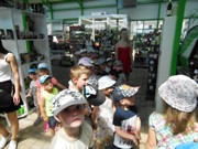 Celodenní výlet Mnichovo Hradiště